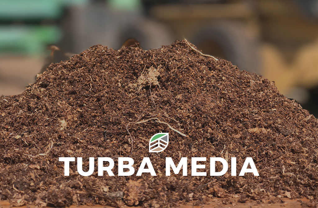 Turba Media - Deitan Solutions