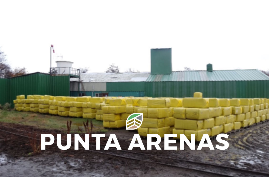 Deitan Solutions - Punta Arenas - Turba en Bales